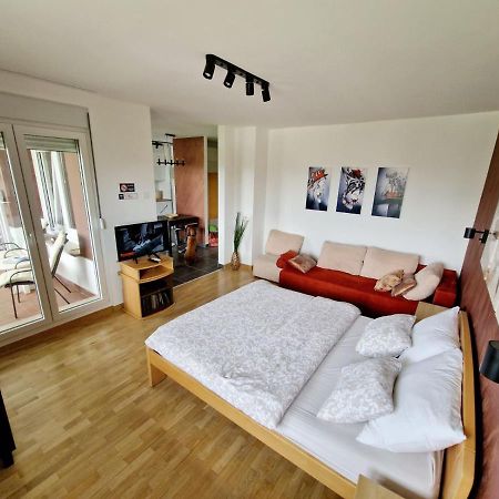 Apartment Nena Belgrade Exterior photo